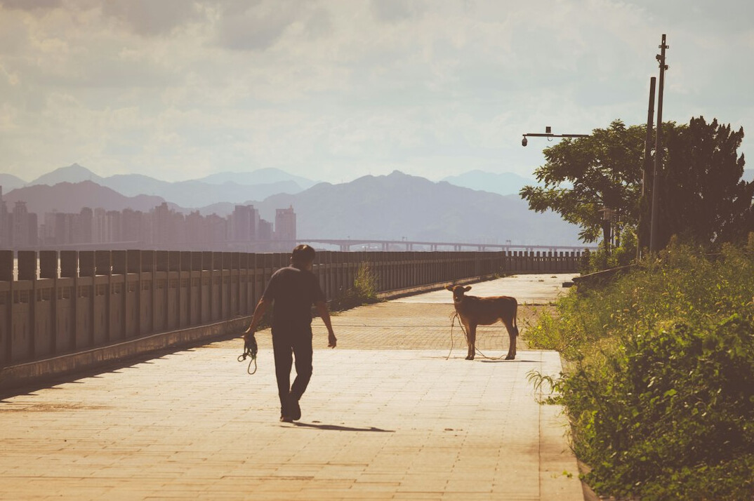 urban vs rural people